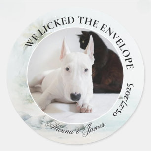 Grappige Hond “Ik Likte de Enveloppe” Tropisch Str Ronde Sticker