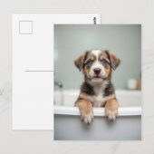 Grappige hond in badkamer briefkaart (Voorkant / Achterkant)
