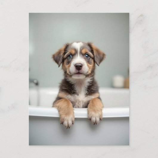 Grappige hond in badkamer briefkaart (Voorkant)