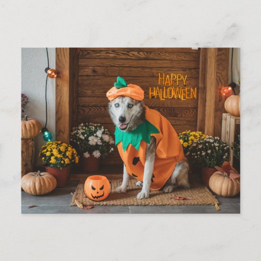 Grappige Hond in Halloween Kostuum Feestdagenkaart (Voorkant)