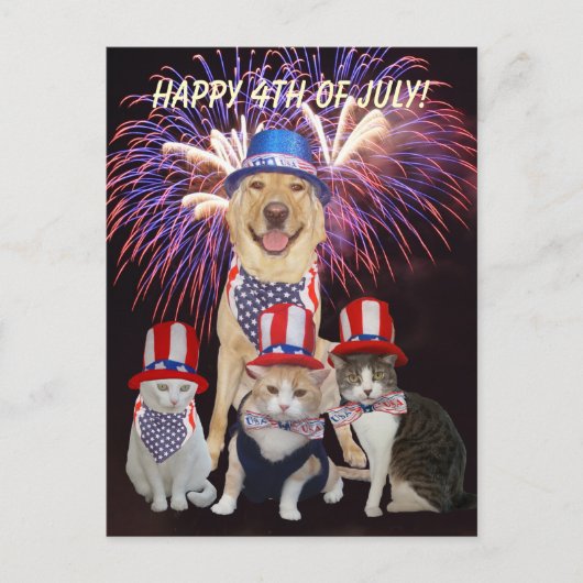 Grappige hond / kat 4 juli briefkaart (Voorkant)