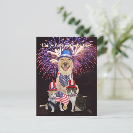 Grappige hond / kat 4 juli briefkaart (Staand voorkant)