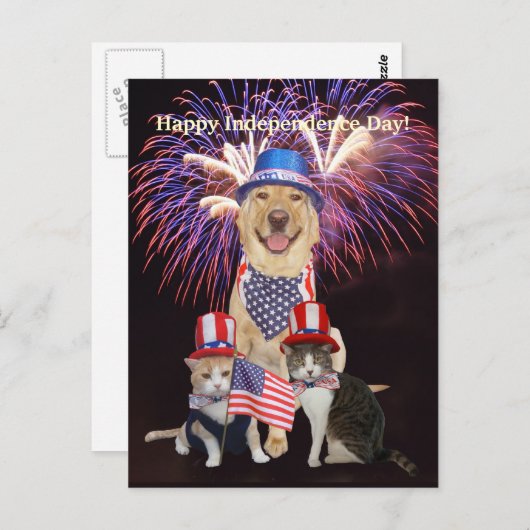 Grappige hond / kat 4 juli briefkaart (Voorkant / Achterkant)