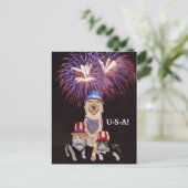 Grappige hond / kat 4 juli briefkaart (Staand voorkant)