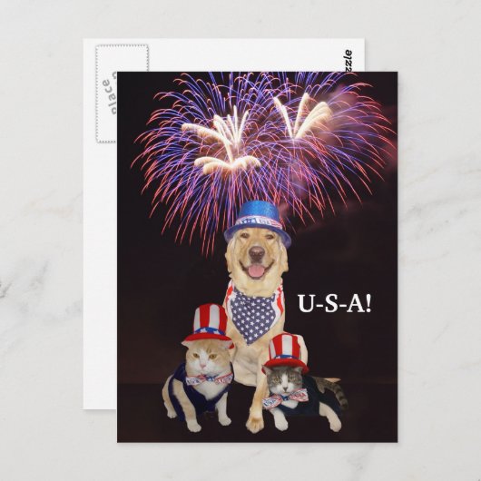 Grappige hond / kat 4 juli briefkaart (Voorkant / Achterkant)