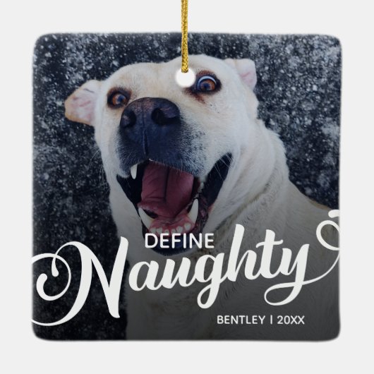 Grappige hond kerstfoto keramisch ornament (Achterkant)