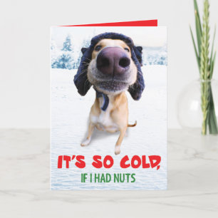 Grappige hond kerstkaart Teddy de Spaz Man Feestdagen Kaart