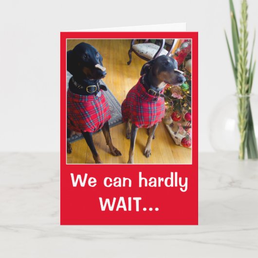 Grappige hond Kerstman trakteren op kerst wenskaar Feestdagen Kaart (Voorkant)