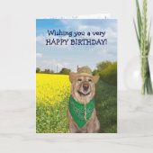 Grappige hond / Lab Geen stier verjaardag Kaart (Voorkant)