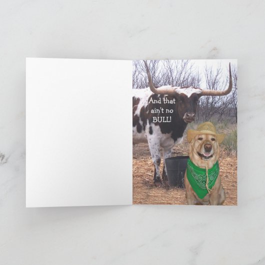 Grappige hond / Lab Geen stier verjaardag Kaart (Binnen)