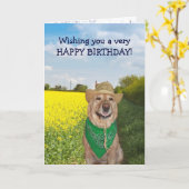 Grappige hond / Lab Geen stier verjaardag Kaart (Gele Bloem)