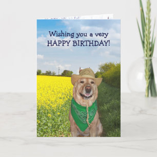 Grappige hond / Lab Geen stier verjaardag Kaart