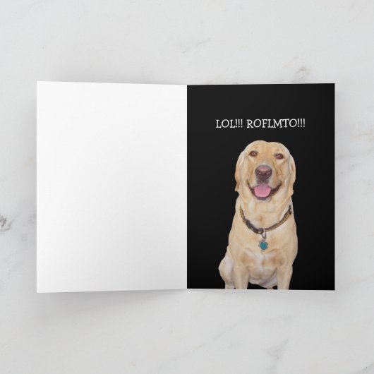 Grappige hond / Lab Verjaardag Kaart (Binnen)