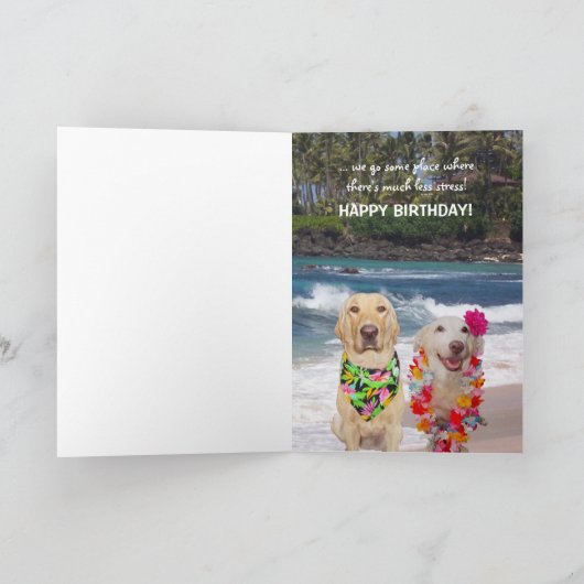 Grappige hond / Lab Verjaardag voor echtgenoot Kaart (Binnen)