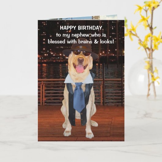 Grappige hond / Lab verjaardag voor neef Kaart (Gele Bloem)