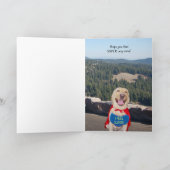 Grappige hond/lab wordt beter kaart (Binnen)