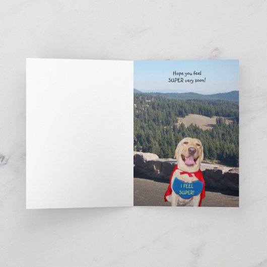 Grappige hond/lab wordt beter kaart (Binnen)