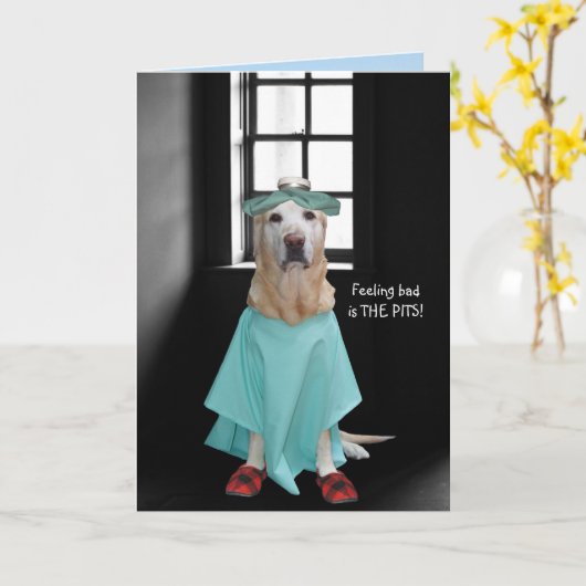 Grappige hond/lab wordt beter kaart (Gele Bloem)