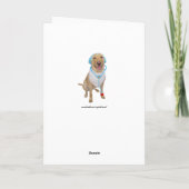 Grappige hond / laboratorium en kat worden goed kaart (Achterkant)