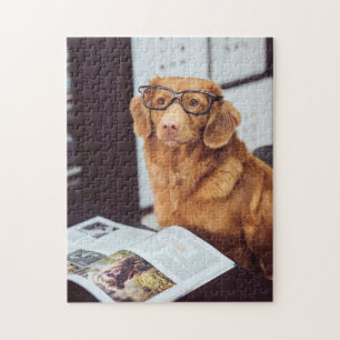 Grappige Hond Leest Legpuzzel