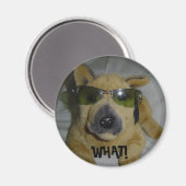 Grappige Hond Magneet (Voorkant / Achterkant)