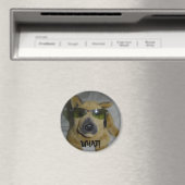 Grappige Hond Magneet (Insitu (Vaatwasser))