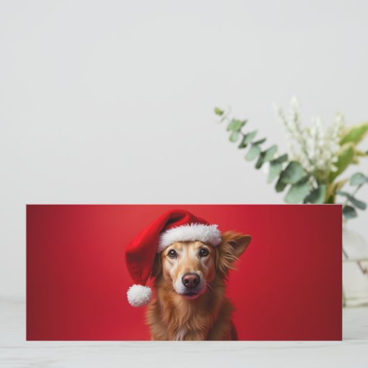 Grappige hond op een rode achtergrond (Staand voorkant)