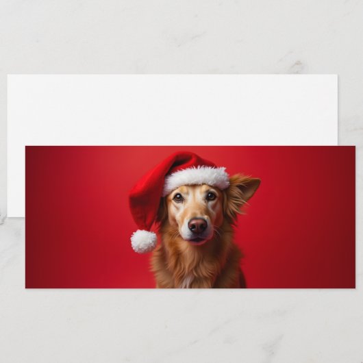 Grappige hond op een rode achtergrond (Voorkant / Achterkant)