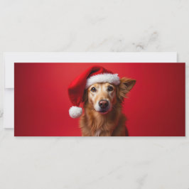 Grappige hond op een rode achtergrond
