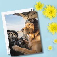 Grappige Hond Piloot vliegt Vliegtuig Luchtvaart V