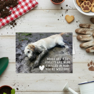 Grappige Hond Puppies Valentijnsdag Meme