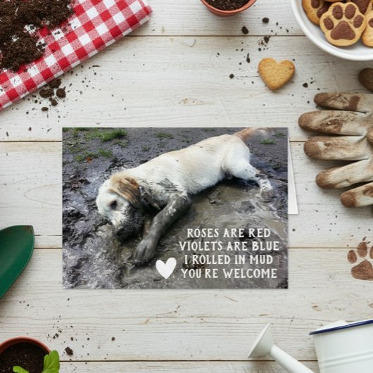 Grappige Hond Puppies Valentijnsdag Meme