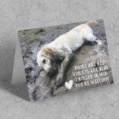 Grappige Hond Puppies Valentijnsdag Meme