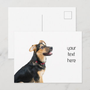 Grappige hond puppy briefkaart