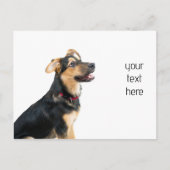 Grappige hond puppy briefkaart (Voorkant)