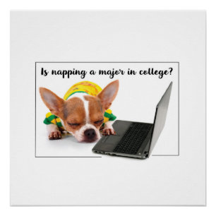 Grappige hond slapen op laptop computer perfect poster