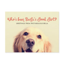 Grappige hond vakantie | Fotobegroeting