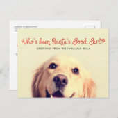 Grappige hond vakantie | Fotobegroeting Feestdagenkaart (Voorkant / Achterkant)