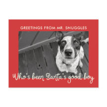 Grappige hond vakantie | Fotobegroeting