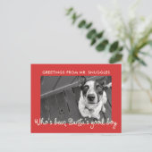 Grappige hond vakantie | Fotobegroeting Feestdagenkaart (Staand voorkant)