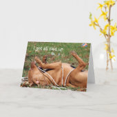 Grappige hond verlate verjaardag kaart (Gele Bloem)