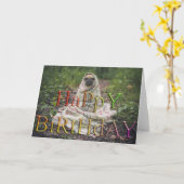Grappige hond voelt koude foto kaart (Gele Bloem)