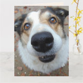 GRAPPIGE HOND WORDT SNEL GOED WENSKAARTEN KAART (Gele Bloem)