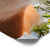 Grappige Honden Broden Badkamer Hillarious Wall Ar Poster (Hoek)