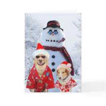 Grappige honden Cool Yule