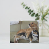 Grappige honden die een schattige golden retriever briefkaart (Staand voorkant)