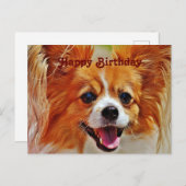 Grappige honden gefeliciteerd verjaardag briefkaart (Voorkant / Achterkant)