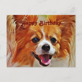 Grappige honden gefeliciteerd verjaardag briefkaart