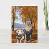 Grappige Honden/Laboratorium Valentijn of Jubileum Feestdagen Kaart (Voorkant)