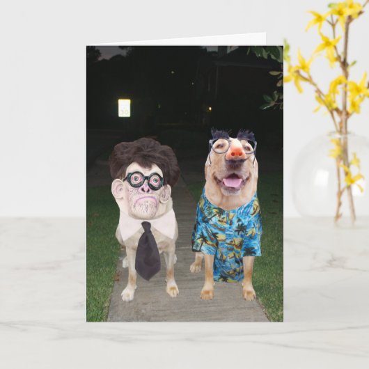 Grappige honden / Labs als mensen op Halloween Kaart (Gele Bloem)